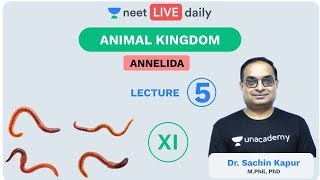 Animal Kingdom  L 5  Annelida  Class 11  Unacademy NEET  NEET Biology  Sachin Sir [upl. by Florry655]