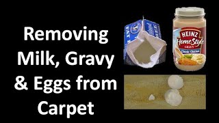 How to Professionally Remove Milk Eggs Cooking Grease and Other Protein Stains on Carpets amp Rugs [upl. by Irehj]