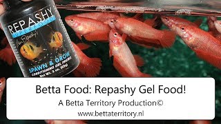 Betta Food Repashy Gel Food [upl. by Ydurt]