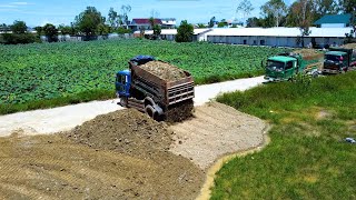 Starting new project dozer D30p and 10 tone truck [upl. by Tdnarb]