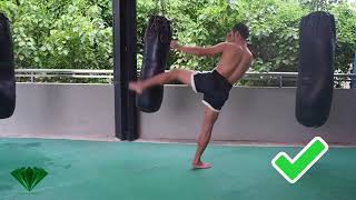 Muay Thai  How to throw a Kick [upl. by Alfreda]