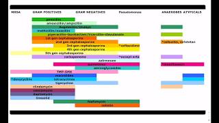 Antibiotic Coverage Made Easy  USMLE  COMLEX [upl. by Gareri]