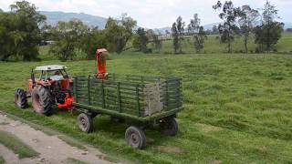 COSECHADORA DE FORRAJES  FIMAKS  RF132  Instalación Gachanzipa🇨🇴  Maquinaria Agrícola [upl. by Marissa]