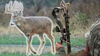 Top 5 Deer Hunting Tips For Ground Setups [upl. by Zeba471]