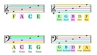 How To Read Notes On The Staff  EASY  Music Theory Tutorial [upl. by Enniotna469]