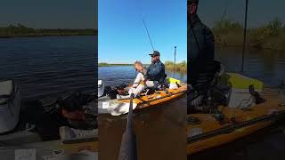 Slot reds and a few surprises while kayak fishing fishing river titusville Florida [upl. by Nahsez]