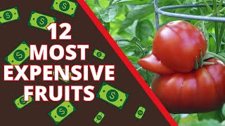 12 Most Expensive Fruits In The World [upl. by Ahsit]