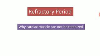 Refractory period  Why cardiac muscle cant be tetanized  Ventricle action potential [upl. by Proudman611]