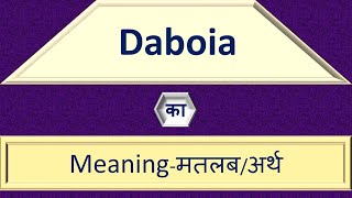 Daboia Meaning In Hindi  Daboia Ka Hindi Me Matlab Kya Hota Hai  English to Hindi Word Meaning [upl. by Anisirhc669]