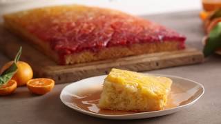 Ombre Citrus Cake for Food Network [upl. by Anairda]