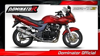 Kawasaki ZR7S  Dominator Exhaust Sound [upl. by Assennav]