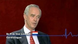 Lhypothèse renversante de Pim van Lommel [upl. by Innej]