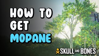 How to Get Mopane  Mopane Location  Skull amp Bones [upl. by Ahsyla209]