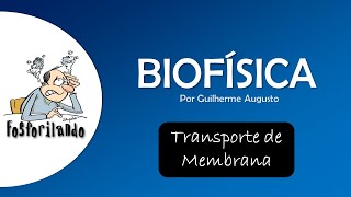 TRANSPORTE DE MEMBRANA Difusão Simples  BIOFÍSICA [upl. by Janik]