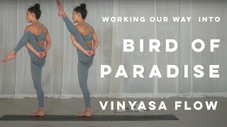 50 Minute Intermediate Vinyasa Flow Yoga  Bird of Paradise 2021 [upl. by Ariom]