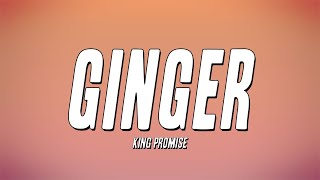 King Promise  Ginger Lyrics [upl. by Alitta]