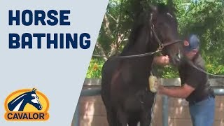 Proper Horse Bathing With Darren Roberts amp Cavalor [upl. by Nazarius66]