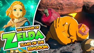 Goroadicción  54  TLO Zelda Tears of the Kingdom en Español Switch DSimphony [upl. by Corabel131]