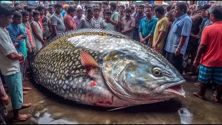 Negombo Fish Market [upl. by Griffie143]