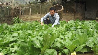 Do housework and farm work Robert  Green forest life [upl. by Warder]