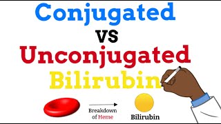 Conjugated vs Unconjugated Bilirubin  Simple Explanation [upl. by Masson]