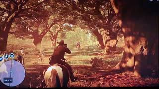 Rdr2 Dark Bay Turkoman Horse rdr2 fyp [upl. by Yecaw]