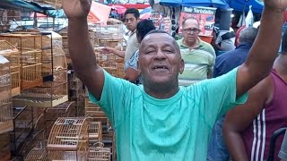 Feira Do cordeiro acessórios gaiolas Dário Da gaiola o Rei das gaiolas [upl. by Ycam212]