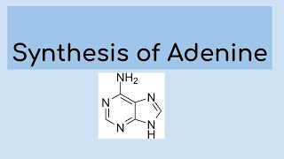 Synthesis of adenine [upl. by Verdie]