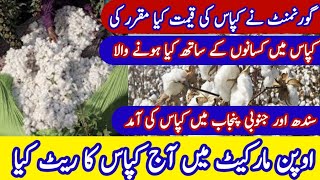 New cotton price 2024  open market main kpas rate kya hai  كپاس کا آج ریٹ کیا ہے [upl. by Cornell]