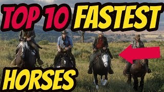 RDR 2 Top 10 Fastest Horses In The Game  AMAZING [upl. by Mall]