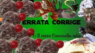 Errata Corrige 7  Il rosso Coccinellaiglia [upl. by Nielsen]