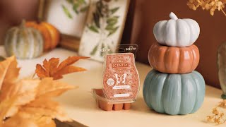 SCENTSY October Warmer of the Month  Color Me Pumpkin [upl. by Kceb]