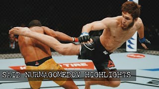 UFC FIGHTER WITH INCREDIBLE KICKS ▶ SAID NURMAGOMEDOV HIGHLIGHTS HD [upl. by Myrah724]