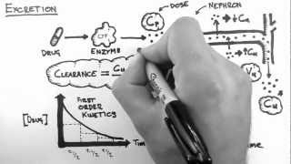 Pharmacokinetics 5  Excretion [upl. by Hera]