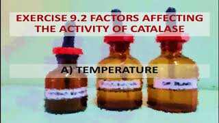 EXPERIMENT 9 BIOCATALYSIS [upl. by Nojram]