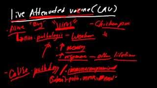 Vaccine Types and Mechanisms Made Simple [upl. by Ainigriv854]