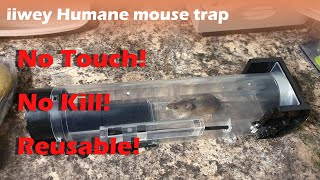 A humane house mouse solution iiwey humane mouse trap  No kill amp No touch [upl. by Mehs]