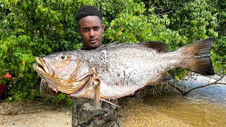 Giant HogFish amp Snapper Catch Clean And Cook [upl. by Anirok334]