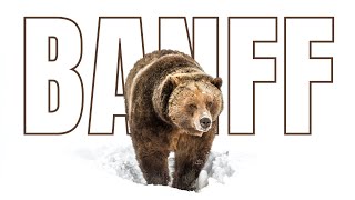 The ULTIMATE WINTER Banff Travel Guide [upl. by Daisy]