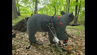 3D Archery with the Oneida Phoenix and 4mm FMJ arrows First time through the course this year [upl. by Steffy]