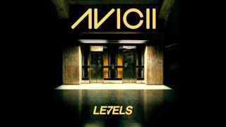 Avicii ft Flo Rida amp Skrillex  Good Feeling Levels 2012 EtroStyle Bootleg [upl. by Nertie287]