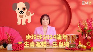 麦玲玲：2024龙年生肖狗的整体运势 [upl. by Lepp947]