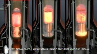 Video Shows Molten Material Inside Fukushima Nuclear Reactor [upl. by Anitsua646]