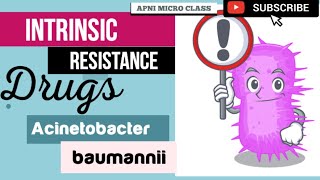 Intrinsic resistant Antibiotics  Acinetobacter baumannii  A baumannii Treatment [upl. by Naples977]