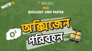 ১০ অধ্যায় ৫  শ্বাসক্রিয়া ও শ্বসন অক্সিজেন পরিবহন Transportation Of Oxygen HSC [upl. by Hara]