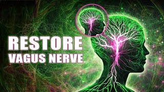 Restore Vagus Nerve  Resetting Inner Harmony And Happiness  741 Hz Reverberation [upl. by Nywled447]