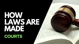 How laws are made  Courts [upl. by Wassyngton]