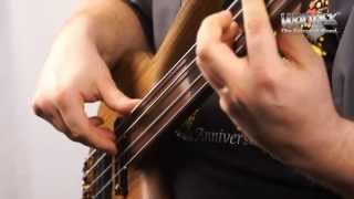 The Warwick Dolphin Pro I 4String Fretless [upl. by Tandie]