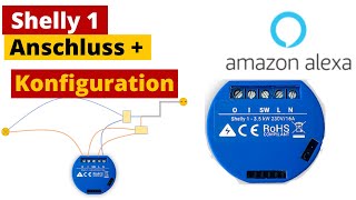 Shelly 1 anschliessen und konfigurieren [upl. by Dallis]