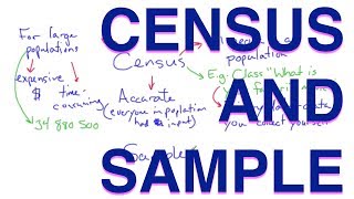 Census and Sample  Methods of Data Collection  Learn with an Experienced Teacher [upl. by Tiny169]